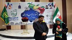 برداشت 600 هزار تن سیب از باغات استان آذربایجان شرقی/ 272 هزار تن از سیب استان صادر می شود