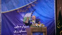 در راستای ارتقا سلامت؛ کشت برنج بدون استفاده از سم در سطح 100 هکتار انجام شد