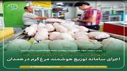 اجرای سامانه توزیع هوشمند مرغ گرم در همدان