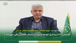 افزایش 64 درصدی جوجه‌ریزی در استان همدان طی مهرماه