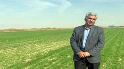 کاهش مصرف آب و هزینه های تولید در پی یکپارچه سازی اراضی کشاورزی
