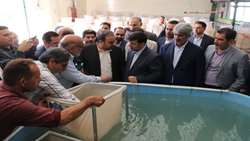 بازدید سرپرست وزارت جهاد کشاورزی از مرکز توسعه ماهیان بومی سوسنگرد