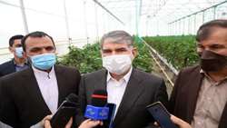 ساداتی نژاد در سفر استانی به البرز خبر داد: اختصاص 600 میلیارد تومان به بخش کشاورزی در سفر هیات دولت