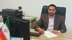 برداشت گوجه سبز از باغات شهرستان سرخه؛ 13 هکتار از باغات این شهرستان به کشت گوجه سبز اختصاص دارد