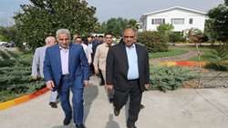 پژوهش‌های مزرعه‌محور و کاربردی راهبرد جدید سازمان تات
