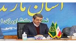 تولید محصول سالم برنج در کشت اول و دوم/ مازندران استان پایلوت مبارزه بیولوژیک در شمال کشور است