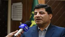 هیچ کمبودی در سطح عرضه مرغ گرم در آذربایجان شرقی وجود ندارد