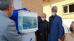 رونمایی از دستاورد تکثیر ماهی باس دریایی آسیایی
