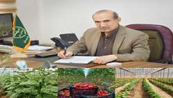 توسعه 130 هکتاری گلخانه های سیستان و بلوچستان