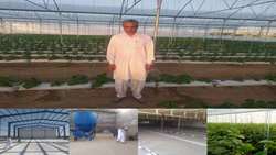 سرمایه‌گذاری بیش از 5900 میلیارد ریالی بخش خصوصی برای توسعه کشاورزی سیب و سوران