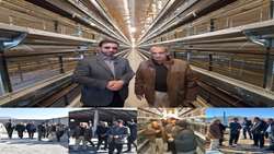 عزم مسئولان سیستان و بلوچستان برای خودکفایی و صادرات مرغ