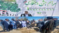 حفظ واحیای منابع طبیعی سیستان وبلوچستان برای توسعه استان حیاتی است