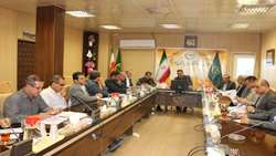 کردستان رتبه اول تولید مرغ گوشتی منطقه را دارد