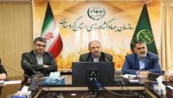 کردستان قطب اصلی توت فرنگی کشور است