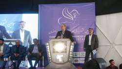 کسب خوداتکایی شیر با پرورش و اصلاح نژاد گاو هلشتاین در ایران/ توسعه زنجیره ارزش در بخش دامپروری از سیاست های وزارت جهاد کشاورزی است