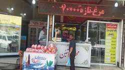 توزیع و عرضه 260 تن مرغ کشتار روز در سطح بازار آذربایجان غربی
