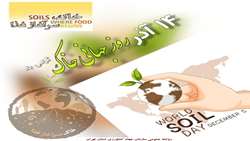 تخریب بیش از 4600 مورد ساخت و ساز غیرمجاز در اراضی کشاورزی استان تهران در8ماهه نخست امسال ،پیام رئیس سازمان در گرامیداشت روزخاک