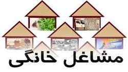 جذب 10 میلیارد ریالی تسهیلات مشاغل خانگی در لارستان