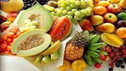 تولید 9.3 میلیون میوه‌های گرمسیری و نیمه‌گرمسیری در سال جاری