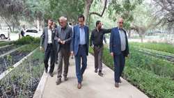 معاونین وزارت جهاد کشاورزی وارد بندرعباس شدند