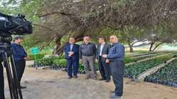 دکتر نوبخت در بازدید از نهالستان بندرعباس مطرح کرد؛