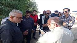 برنامه‌ریزی برای کاشت یک میلیارد نهال در کشور تا سال 1405