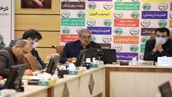 568 هزار هکتار جنگلکاری در مناطق شمال کشور/ پرداخت 10 میلیارد تومان از اعتبارات طرح صیانت از جنگل های شمالی