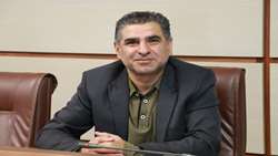 رشد 400 درصدی خرید مرغ مازاد در استان قزوین