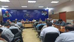 برگزاری نشست پدافند غیرعامل با محوریت آفت قرنطینه ای برگخوارپائیزه در شهرستان ارزوئیه