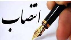 انتصاب استانی‌ در وزارت جهاد کشاورزی