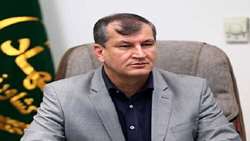 روند صادرات کیوی و پرتقال با سرعت در حال انجام است