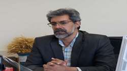 4603 هکتارسطح زیر  کشت دانه های روغنی در استان همدان