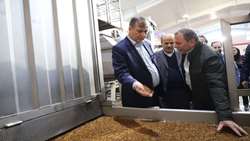 افزایش راندمان با اجرای طرح فراز در باغات انگور