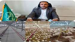 تولید  880 تن گوشت مرغ در مهرستان