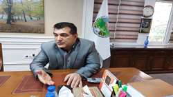 هدفگذاری برای 200 هزار هکتار زراعت چوب در طرح یک میلیارد درخت