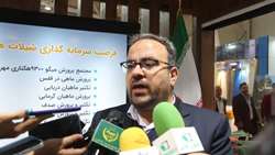 تکذیب یک ادعا؛ هیچ‌ میگویی از چین برگشت نخورده است/ تولید یک هزار تن ماهی تیلاپیا در کشور