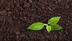 زندگی سالم و پایدار بدون خاک سالم امکانپذیر نیست