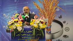 آغاز حرکت ملی در راستای تحقق سند ملی دانش‌بنیان امنیت غذایی/ تولید سالانه یک میلیارد دلار بذر هیبرید در کشور