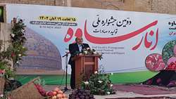 توسعه اقتصاد منطقه‌ای، گردشگری و ارزآوری با محصول انار