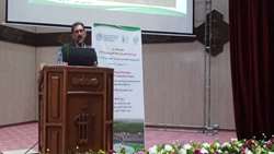 آغاز همکاری «فائو» با ایران برای افزایش بهره‌وری و فعال‌سازی تولید کشاورزی دیم