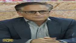 استقلال همدان در صادرات فلفل دلمه رنگی