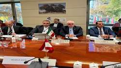 تقویت بهره‌مندی‌ فنی و آموزشی ایران با کسب ریاست شورای بین‌المللی زیتون