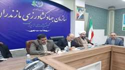 تولید 12 درصد مرغ کشور در استان مازندران