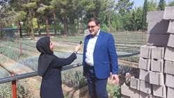 افزایش 5 برابری تولید نهال منابع طبیعی در استان سمنان/ ایجاد ردیف بودجه به استمرار طرح کاشت یک میلیارد درخت کمک می‌کند
