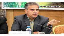 ضریب برداشت مکانیزاسیون برنج به 85 درصد رسید/ ساخت و تولید کمباین شالی در داخل کشور