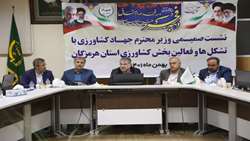 وزیر جهاد کشاورزی در جمع تشکل‌های بخش کشاورزی هرمزگان: تسهیلات و خدمات در قالب الگوی کشت به کشاورزان ارائه می‌شود