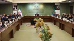 ساداتی‌نژاد در قرارگاه امنیت غذایی خبر داد: توزیع حداکثری گوشت مرغ در میادین، خرده‌فروشی‌ها و فروشگاه‌های اینترنتی