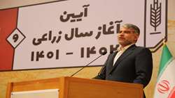 تولید 10 برابری برخی محصولات با ظرفیت آبی و خاکی کشور/ سند تامین مالی بانک مرکزی برای کشت قراردادی ابلاغ شد