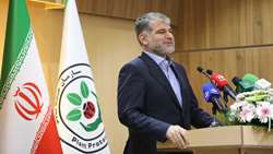 تاکید وزیر جهاد کشاورزی بر احیای جایگاه نخست پسته ایران در جهان/ اجرای دو پروژه بین‌المللی 5 میلیون دلاری پسته