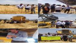 برگزاری کارگاه آموزشی تنظیم کمباین وکنترل ریزش محصول در شهرستان ارزوئیه